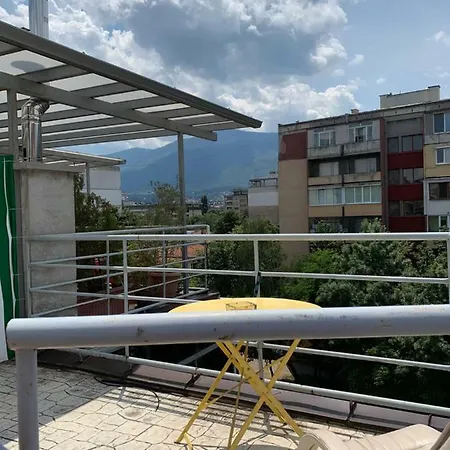 Lilia 4 Self-check In * Sófia